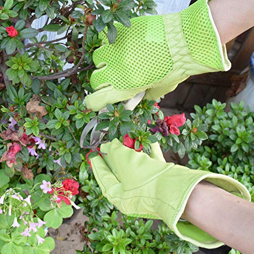 HANDLANDY Guantes de trabajo de cuero para mujer, guantes de jardín de  ajuste cómodo (talla L)