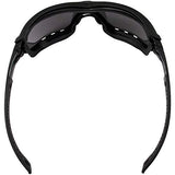 Birdz Gafas de sol deportivas acolchadas de seguridad para motocicleta, color negro con lente ahumada