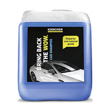 Karcher Detergente Shampoo para Autos 5 Litros