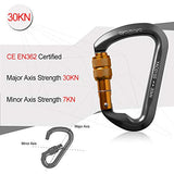 Ayamaya 30kn / 3000kg Aluminum Locking Rock Climbing Carabiner D Shape Screwgate Carabiner Hook Twist Lock Carabiner Outdoor Sport Tools by AYAMAYA