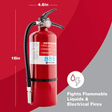 First Alert HOME2PRO - Extintor Recargable con clasificación UL 2-A:10-B:C, Rojo