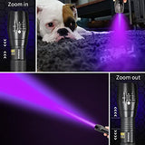 DARKBEAM Luz UV 365 nm y 395 nm lámpara de madera negra linterna ultravioleta LED portátil mini linterna de mano, detector para orina de perro, manchas de mascotas, identificación antifalsificación, curado de resina