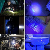 Linterna LED Luz UV y Blanco 2 en 1,AveDistante Linterna Ultravioleta Linterna Tácticas con Funcion de Agrandar y Enfocar 4 Modos para Lluminación Detectar Orina de Mascotas,Ciclismo,Camping, Flashlight 1000 Lúmenes Incluida AAA Batería