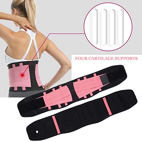 ORTONYX Lumbar Support Belt Lumbosacral Back Brace Ergonomic Design and Breathable Material