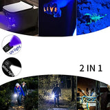 Linterna LED Luz UV y Blanco 2 en 1,AveDistante Linterna Ultravioleta Linterna Tácticas con Funcion de Agrandar y Enfocar 4 Modos para Lluminación Detectar Orina de Mascotas,Ciclismo,Camping, Flashlight 1000 Lúmenes Incluida AAA Batería