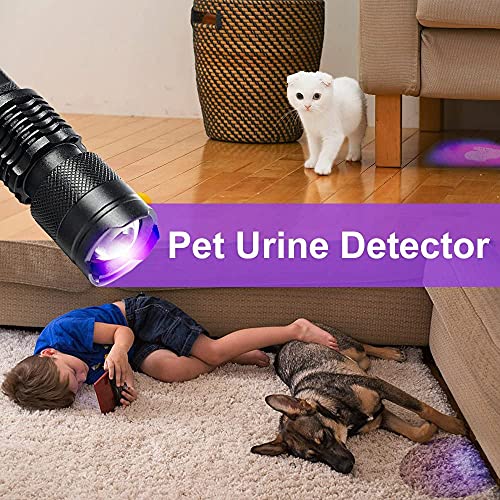 Comprar Linterna UV Detector de orina para mascotas Luz negra 100 LED 395NM Luz  negra con gafas de sol UV de mano