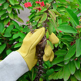 Guantes de jardinería para mujeres / hombres, guantes de cactus a prueba de espinas, guantes protectores para plantar y podar rosas, guantes de jardín de manga larga de cuero de piel de cabra, transpirables y duraderos, trabajo en el jardín, regalos para