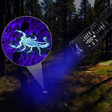 Linterna LED Luz UV y Blanco 2 en 1,AveDistante Linterna Ultravioleta Linterna Tácticas con Funcion de Agrandar y Enfocar 4 Modos para Lluminación Detectar Orina de Mascotas,Ciclismo,Camping, Flashlight 1000 Lúmenes Incluida AAA Batería