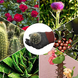 BARST Guantes largos de jardinería, guantes de jardín de poda de rosas para mujeres y hombres, de piel sintética resistentes a espinas y pinchazos, guantes de trabajo floral con puño ajustable para Bushes, cactus, jardinero