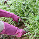 Handland - Guantes de jardinería de piel para mujer, a prueba de torceduras, guantes de jardinería de alta resistencia, longitud del codo, guantes de poda de rosas