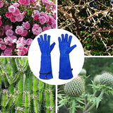 Guantes de jardinería profesionales a prueba de espinas GLOSAV para mujeres y hombres, poda de rosa y corte de cactus, guantes de jardín de manga larga resistentes, de piel de vaca (pequeño, azul)