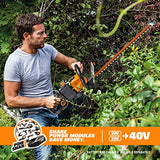 WORX WG284.9 Cortasetos inalámbrico de 40 V Power Share de 24 pulgadas (solo herramienta)