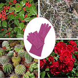 Handland - Guantes de jardinería de piel para mujer, a prueba de torceduras, guantes de jardinería de alta resistencia, longitud del codo, guantes de poda de rosas